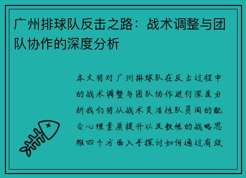 广州排球队反击之路：战术调整与团队协作的深度分析